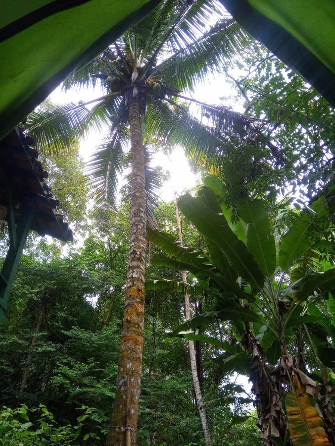 Camping Tropico De Capricornio - Ilhabela Zewnętrze zdjęcie