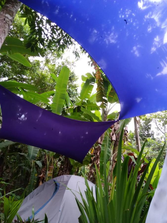 Camping Tropico De Capricornio - Ilhabela Zewnętrze zdjęcie
